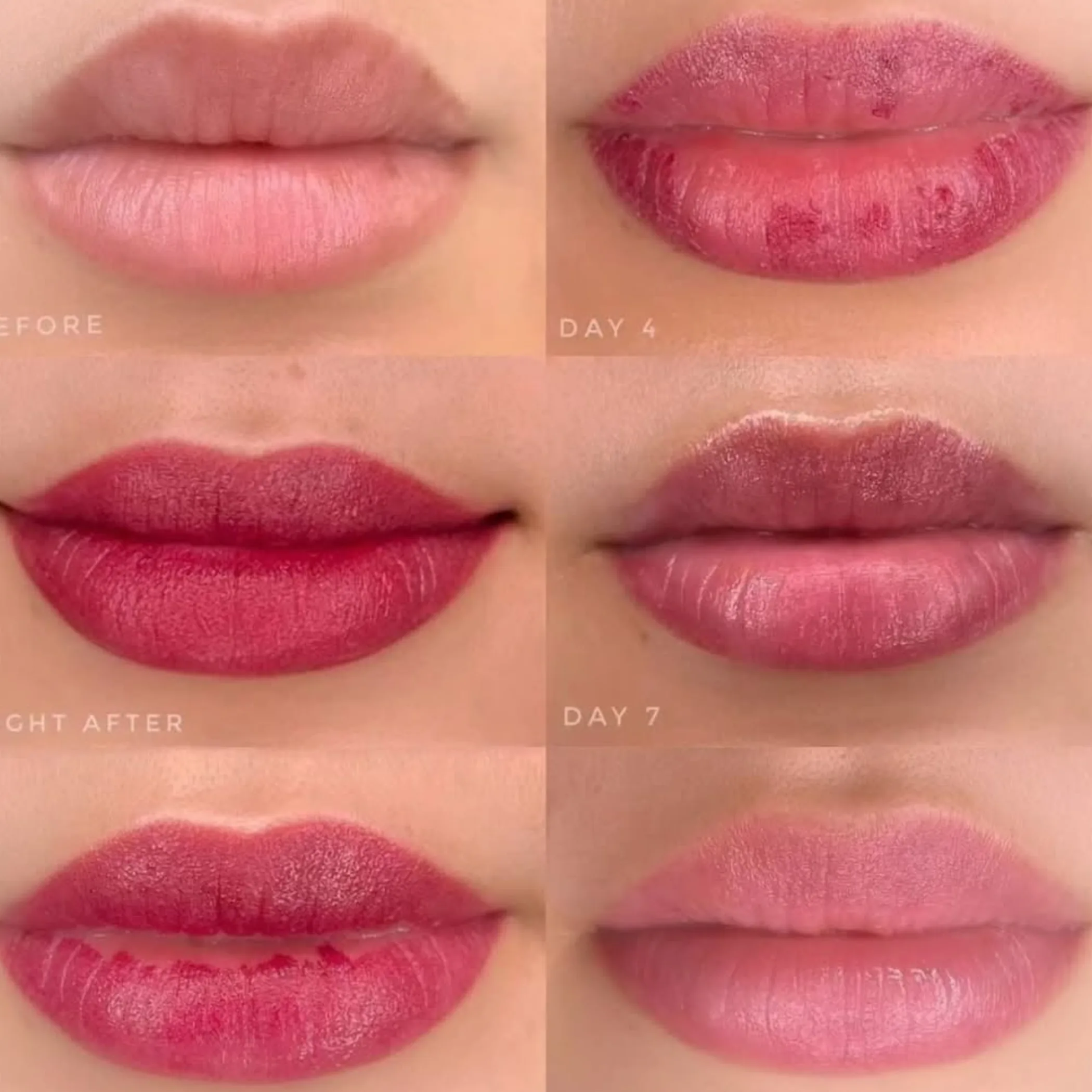 lip blush fresh pigment day one