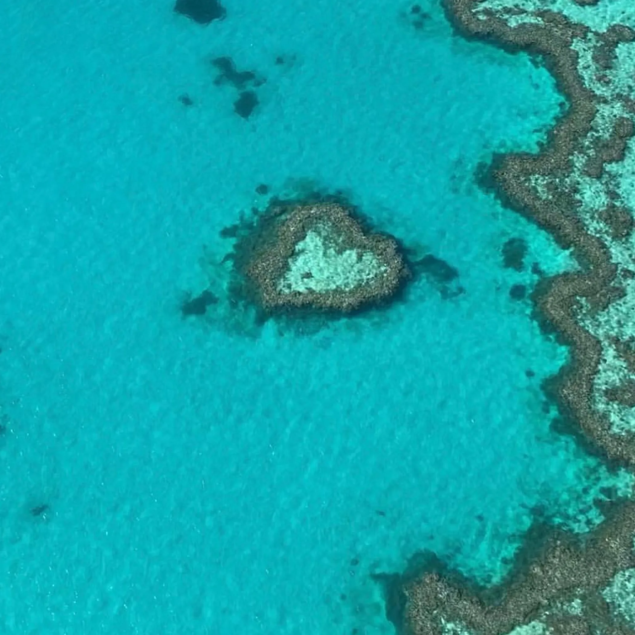 heart reef aerial view queensland