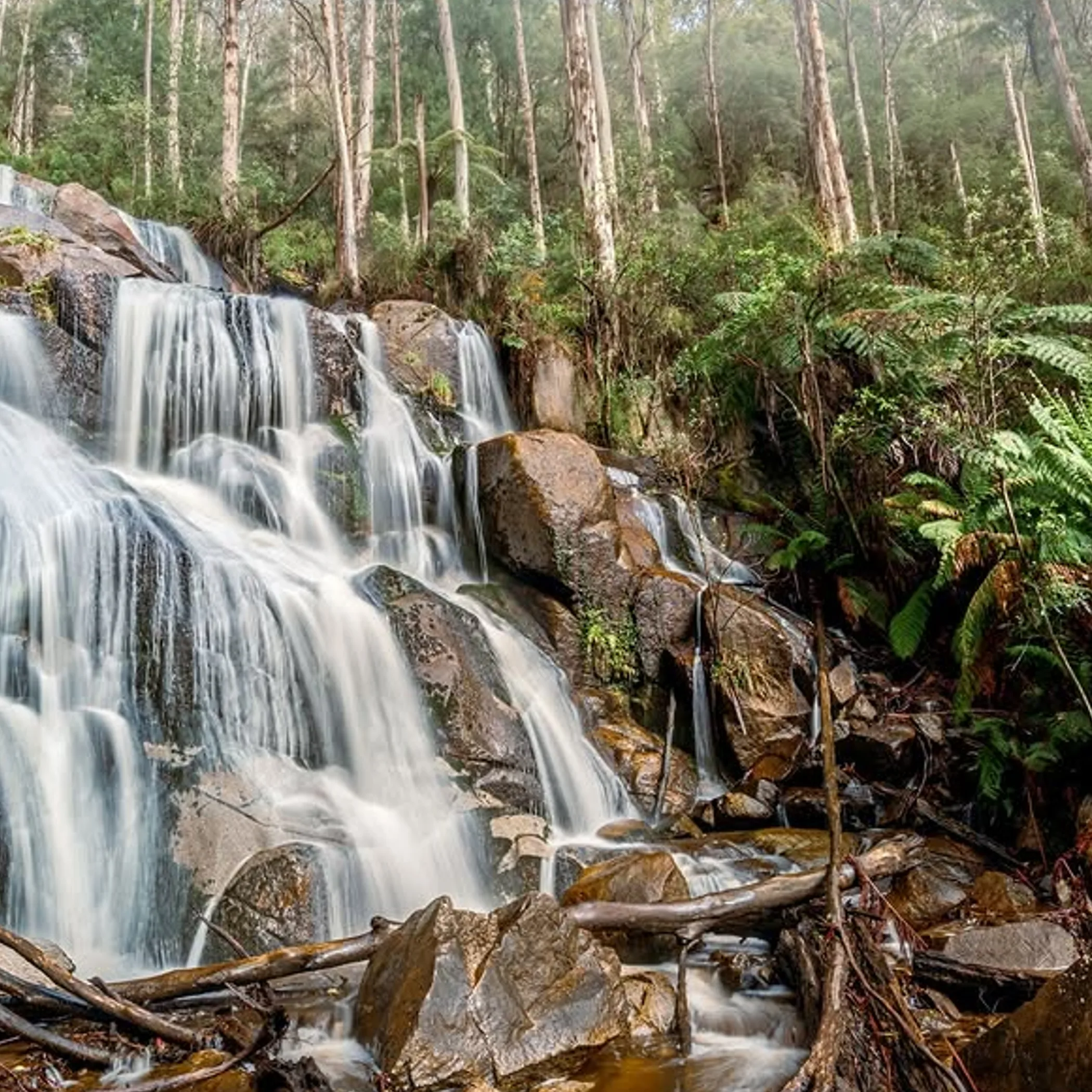 waterfall in victorian national park