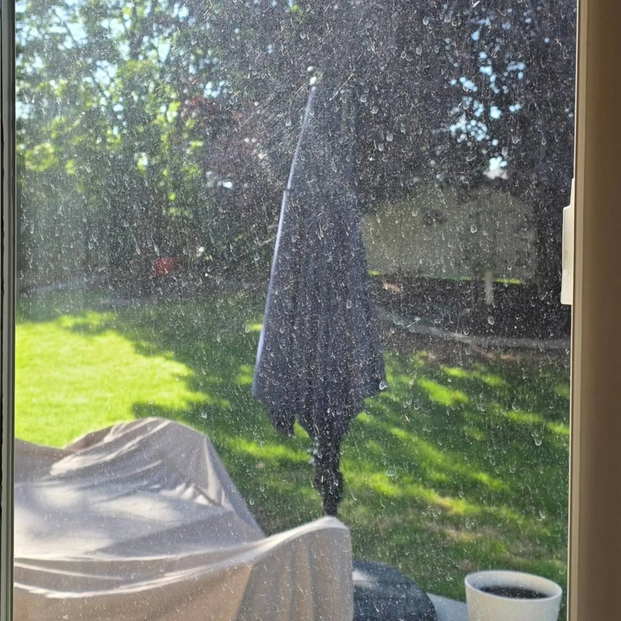 dirty window needing cleaning